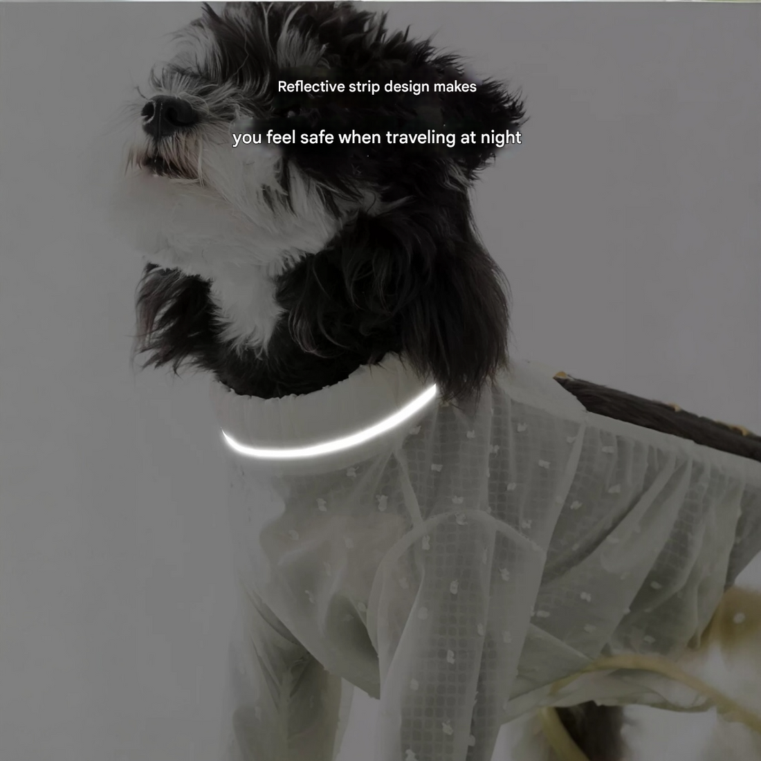 Anti-Dust Pants with Shoes - Wigglytailneeds